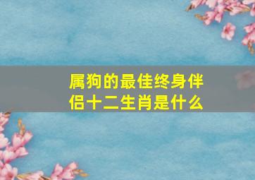 属狗的最佳终身伴侣十二生肖是什么