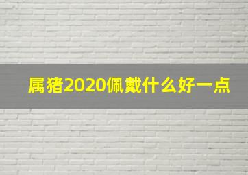 属猪2020佩戴什么好一点