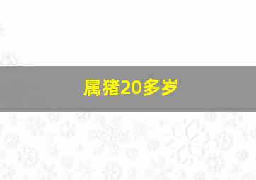 属猪20多岁