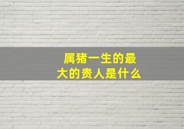 属猪一生的最大的贵人是什么