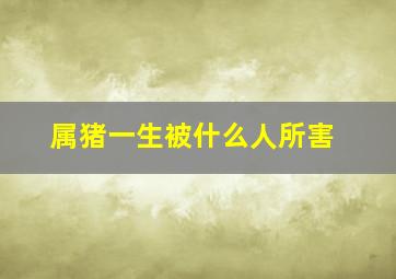 属猪一生被什么人所害