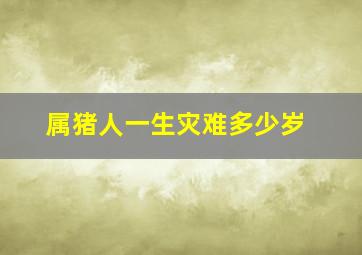 属猪人一生灾难多少岁