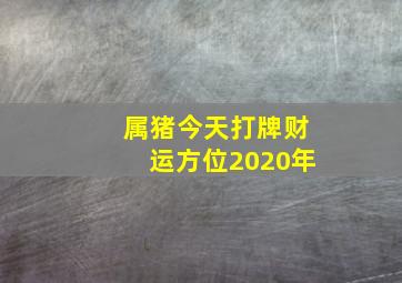 属猪今天打牌财运方位2020年