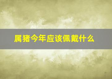 属猪今年应该佩戴什么