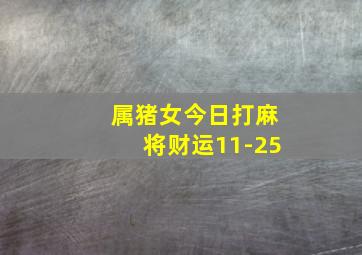 属猪女今日打麻将财运11-25