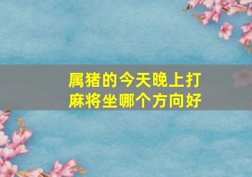 属猪的今天晚上打麻将坐哪个方向好