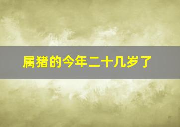 属猪的今年二十几岁了