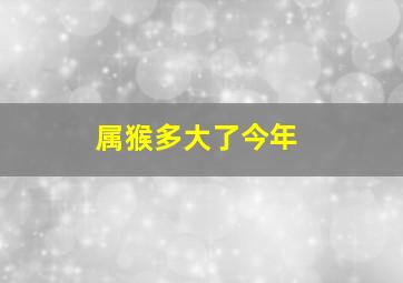 属猴多大了今年