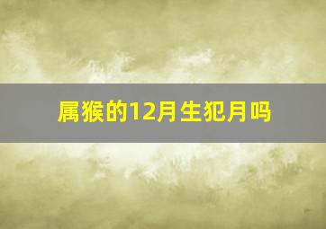 属猴的12月生犯月吗