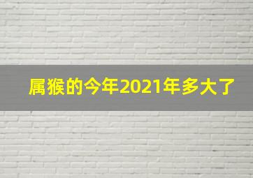 属猴的今年2021年多大了