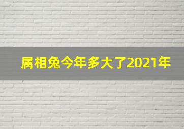 属相兔今年多大了2021年