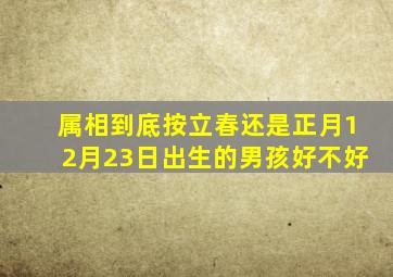 属相到底按立春还是正月12月23日出生的男孩好不好