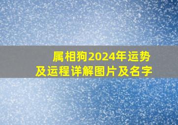 属相狗2024年运势及运程详解图片及名字