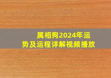 属相狗2024年运势及运程详解视频播放