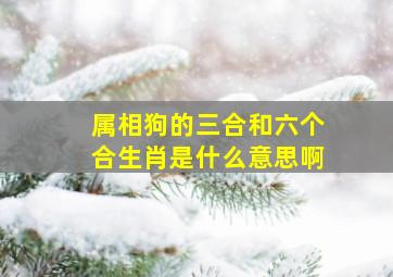 属相狗的三合和六个合生肖是什么意思啊