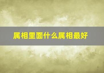 属相里面什么属相最好