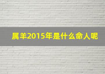 属羊2015年是什么命人呢