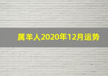 属羊人2020年12月运势