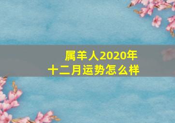 属羊人2020年十二月运势怎么样