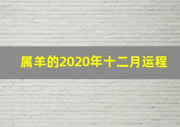 属羊的2020年十二月运程