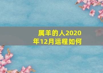 属羊的人2020年12月运程如何