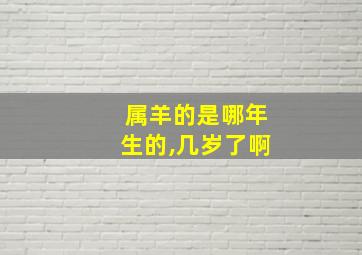 属羊的是哪年生的,几岁了啊