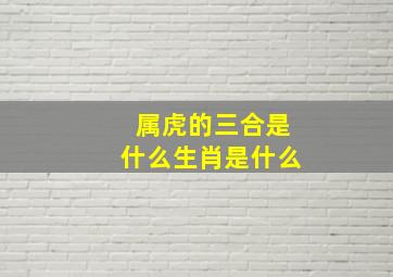 属虎的三合是什么生肖是什么