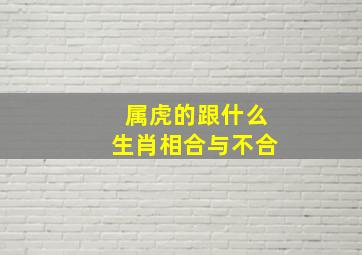 属虎的跟什么生肖相合与不合