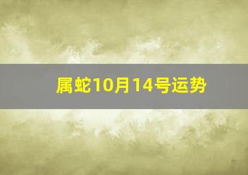 属蛇10月14号运势