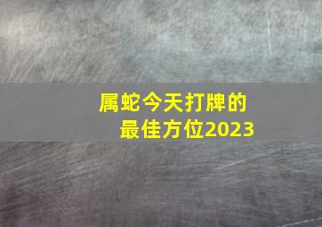 属蛇今天打牌的最佳方位2023