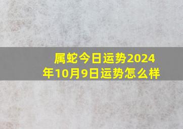 属蛇今日运势2024年10月9日运势怎么样