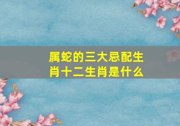 属蛇的三大忌配生肖十二生肖是什么