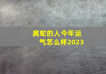 属蛇的人今年运气怎么样2023