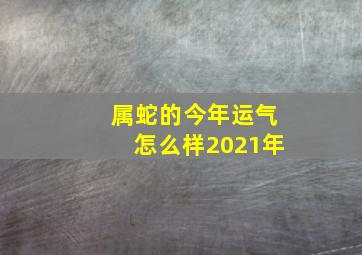 属蛇的今年运气怎么样2021年