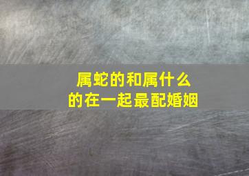 属蛇的和属什么的在一起最配婚姻