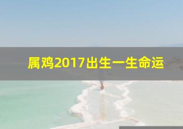 属鸡2017出生一生命运