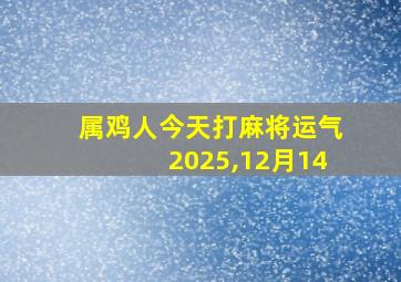 属鸡人今天打麻将运气2025,12月14