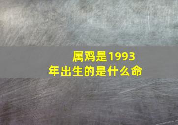 属鸡是1993年出生的是什么命