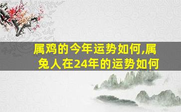 属鸡的今年运势如何,属兔人在24年的运势如何