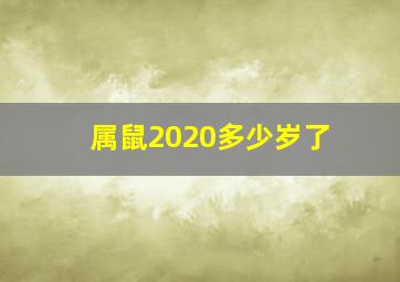 属鼠2020多少岁了