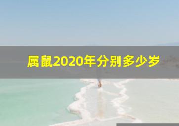 属鼠2020年分别多少岁