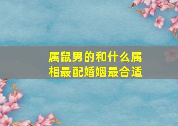 属鼠男的和什么属相最配婚姻最合适