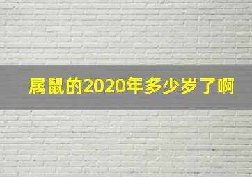 属鼠的2020年多少岁了啊