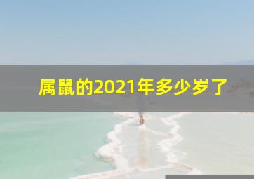 属鼠的2021年多少岁了