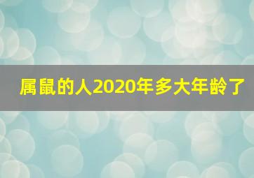 属鼠的人2020年多大年龄了