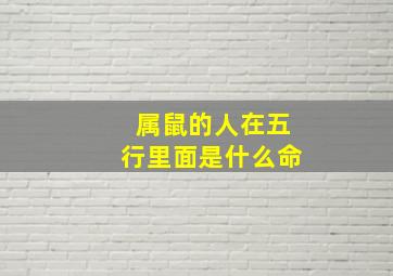 属鼠的人在五行里面是什么命