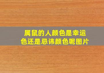 属鼠的人颜色是幸运色还是忌讳颜色呢图片