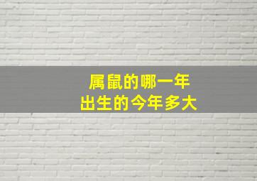 属鼠的哪一年出生的今年多大