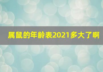 属鼠的年龄表2021多大了啊