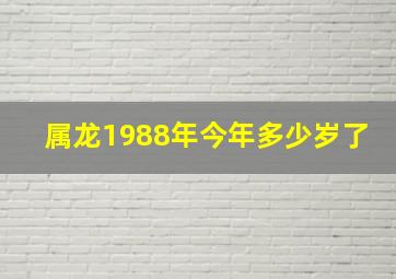 属龙1988年今年多少岁了